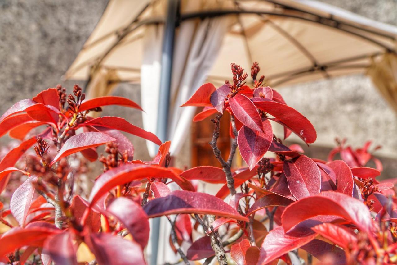 Farm stay Casa Da Pietro Poggio Alla Croce